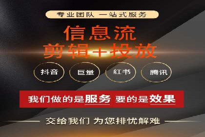 解析某某SEM服务公司的广告投放策略与效果评估