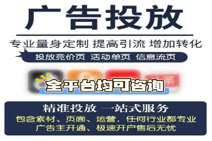 SEM托管服务成功案例：见证品牌成长